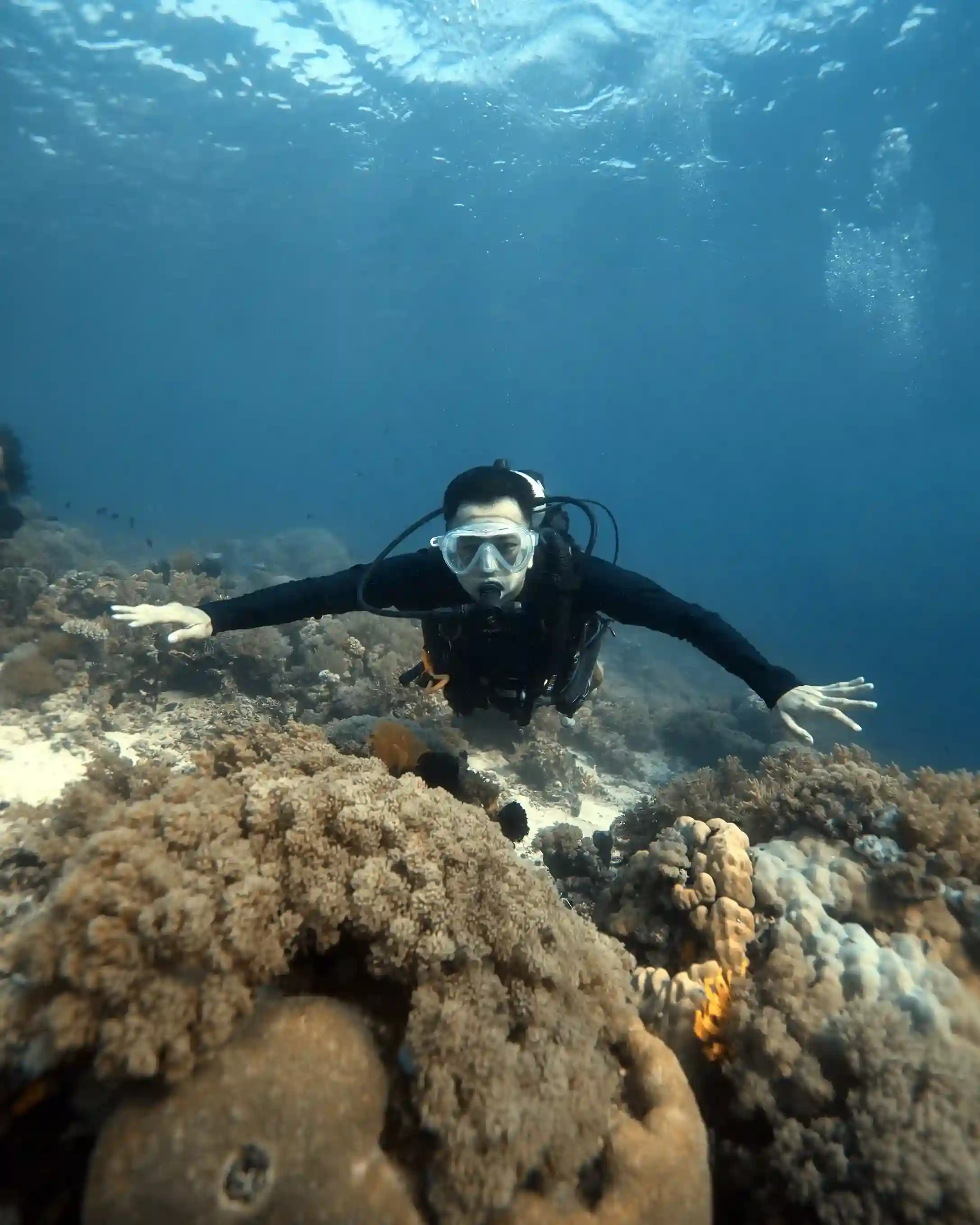 Top Trends in Liveaboard Diving for 2027