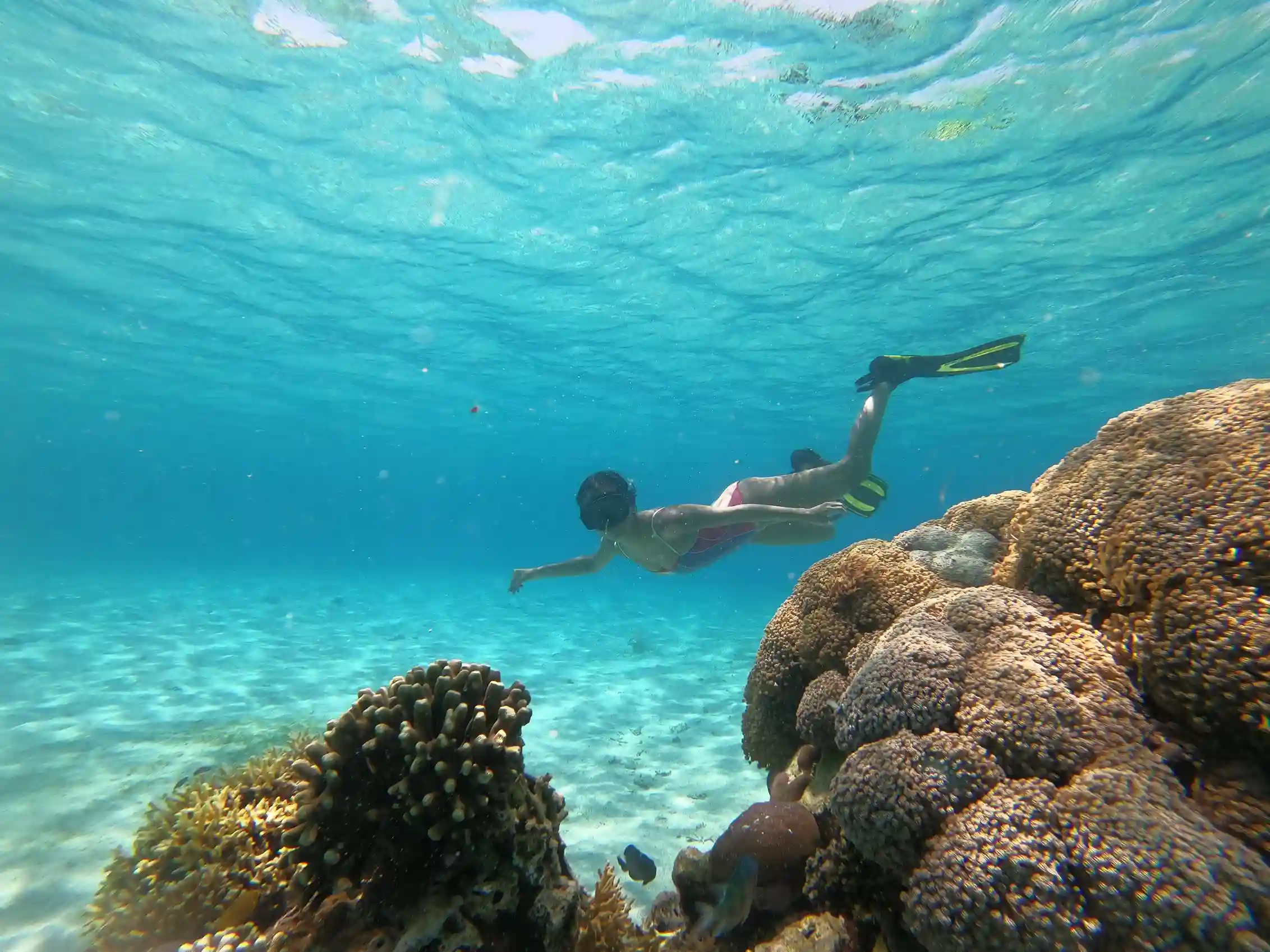 Responsible Komodo Liveaboard Travel: Conservation, Plastic and Local Impact