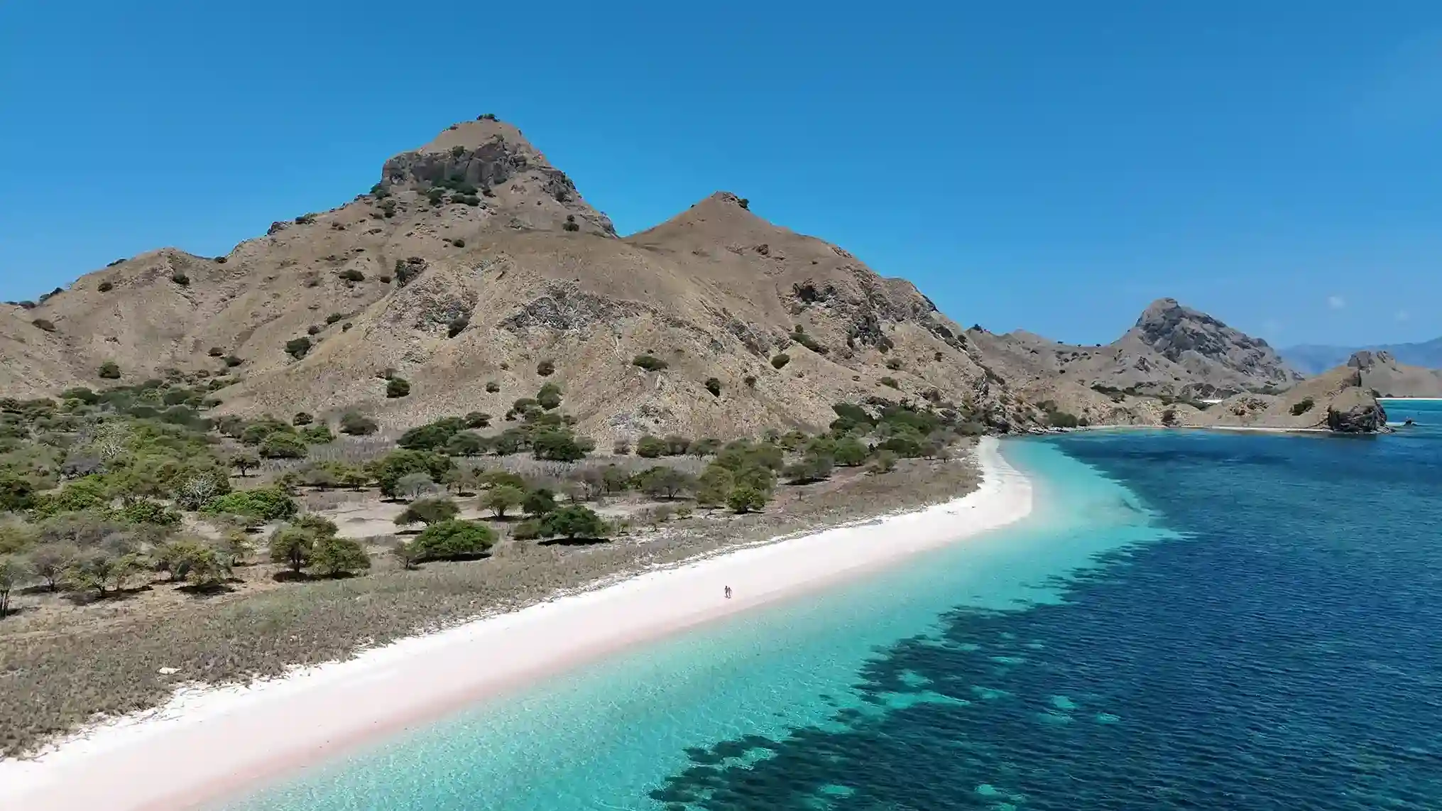Best Time to Visit Komodo by Liveaboard: Seasons, Weather and Marine Life
