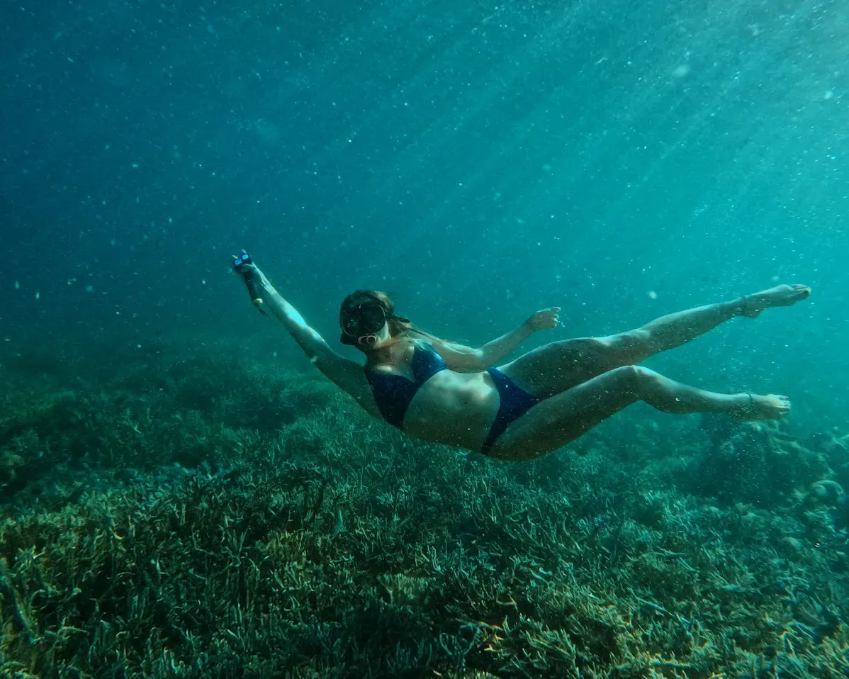 Snorkeling Komodo by Liveaboard: Best Reefs and Non-Divers’ Itineraries