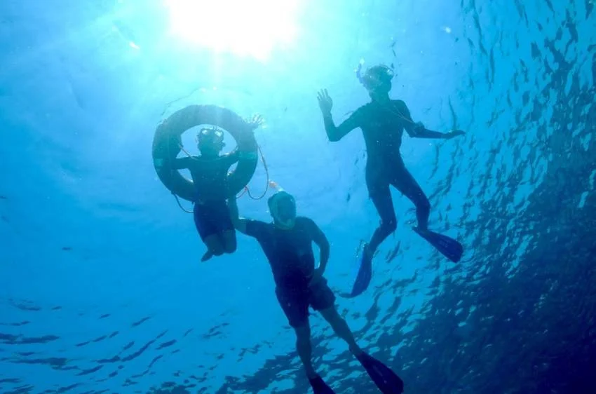The Impact of AI on Liveaboard Diving Experiences in 2027