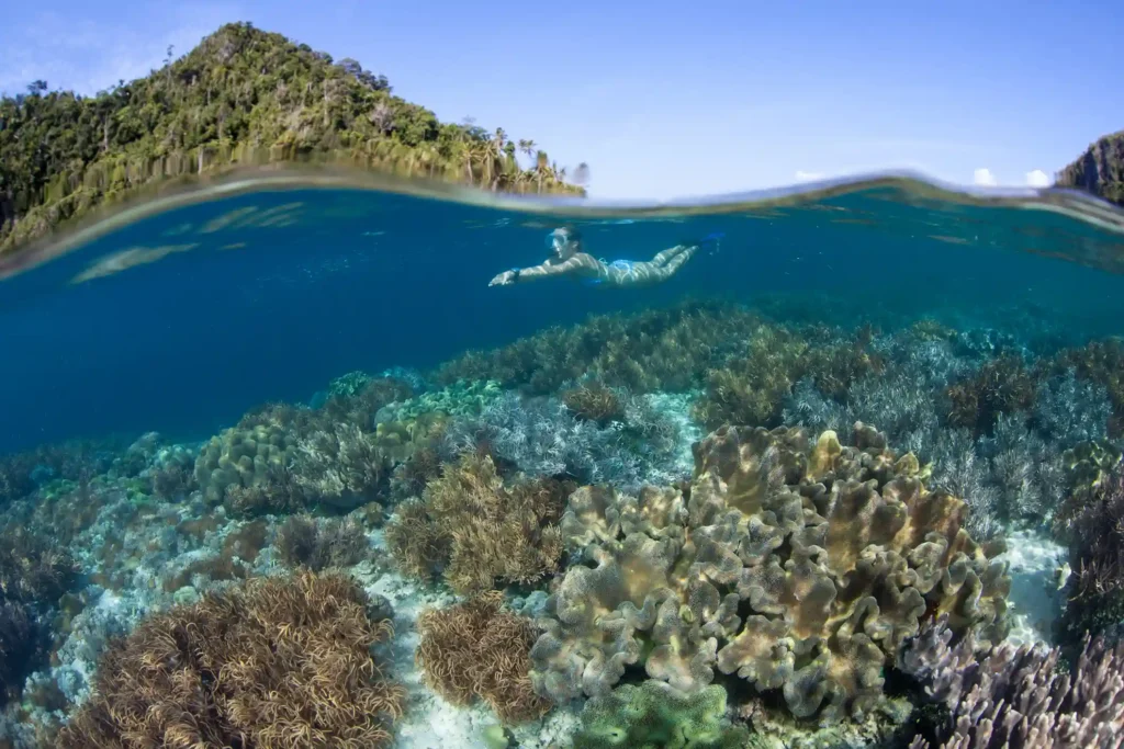 Pink Beach and Snorkeling Stops
